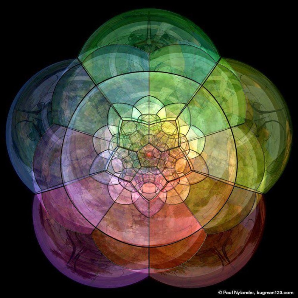 Meet your Posher, Renata